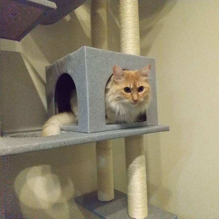 0c4ef993 04a5 42f9 9253 685b4d3e85a4 1649731792377