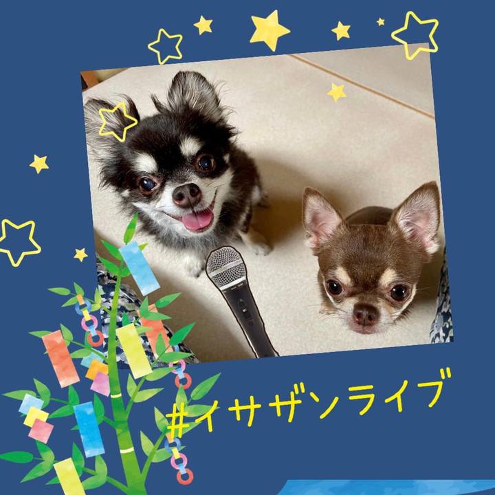 0c4f452e 8598 493d bd33 8d09bda1a4b4 1688694857521