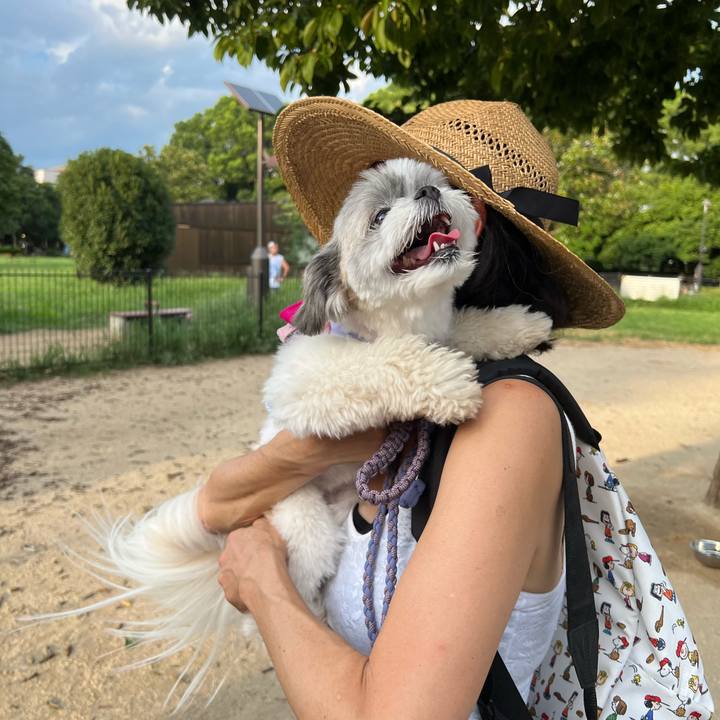 0c4f5731 19be 413e ba57 6ff6af793fac 1722169136168