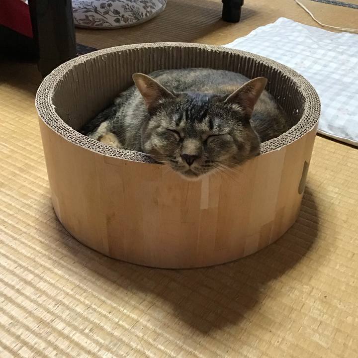 0c4f8fb0 dcd2 4b2b 8c73 1bc09058e998 1720087907937