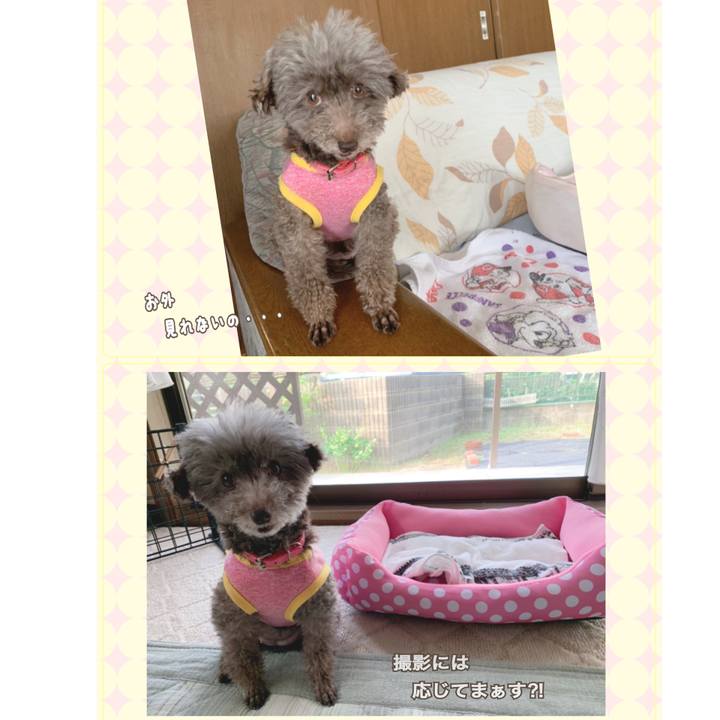 0c4fe24a fee9 4a1b b010 c877f8ebc927 1653431512800