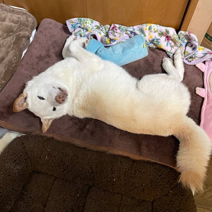 0c503950 4086 413c 8055 4e446fe5d404 1636351926891