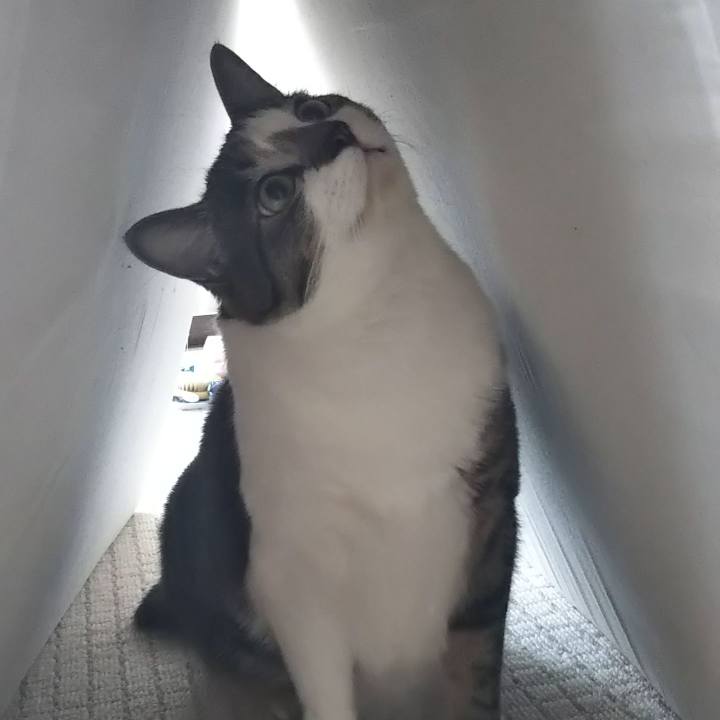 0c503a87 d8f3 4bdc 8553 8736c1094a1d 1605245883222