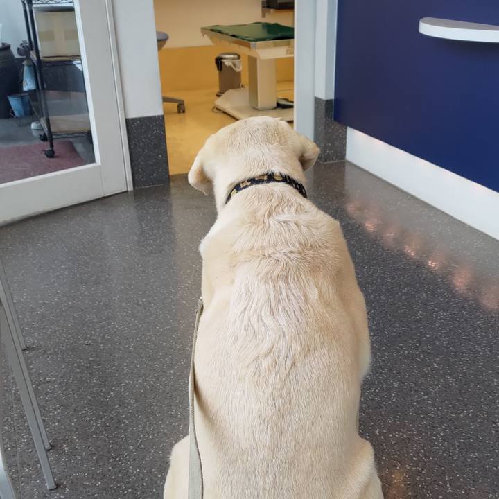 0c505122 9db3 4581 9709 a469ab33424f 1702797359353