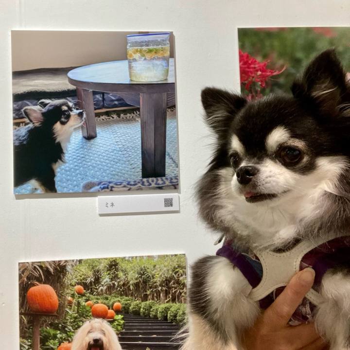 0c506f42 4886 4cb3 b521 5220625fcd86 1761209534556