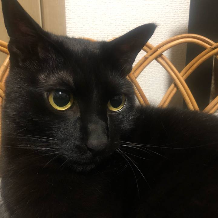 0c50a63b 11e1 4b39 b054 6dfaa8c0d6a5 1652715732118