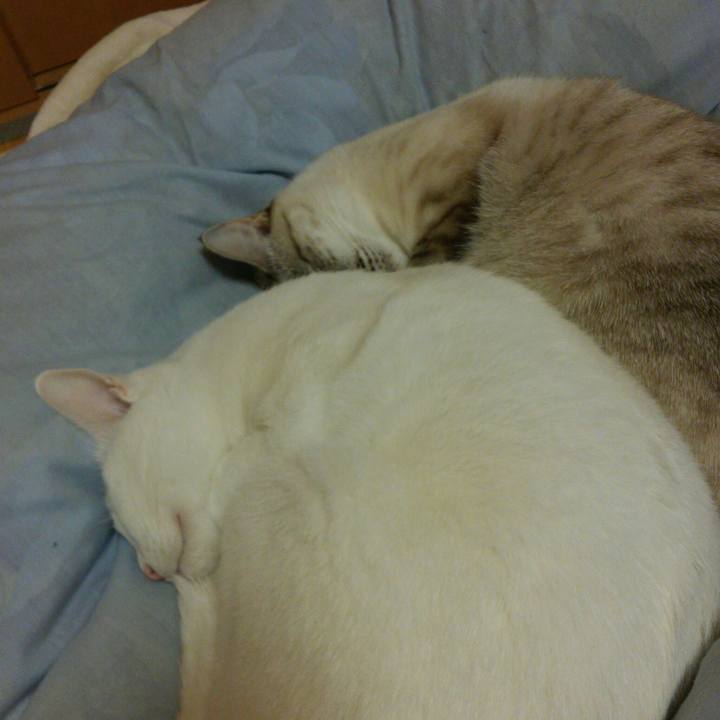 0c50b14c 119e 4cf3 b55b 37f73f70d885 1512228196996