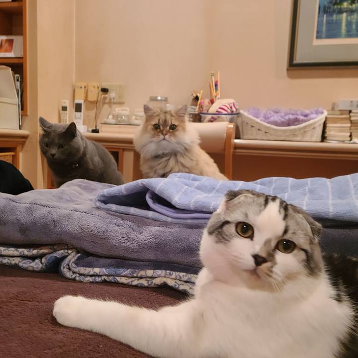 0c50b884 b045 45c9 8871 de641f6793ec 1637049689928