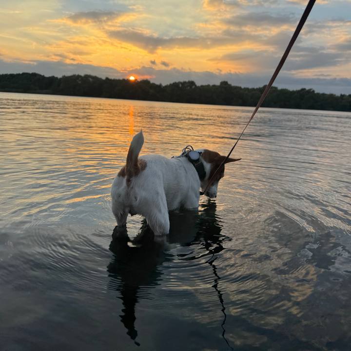 0c50c1da 7cf3 400f 8048 8354c1b52be3 1760358306275