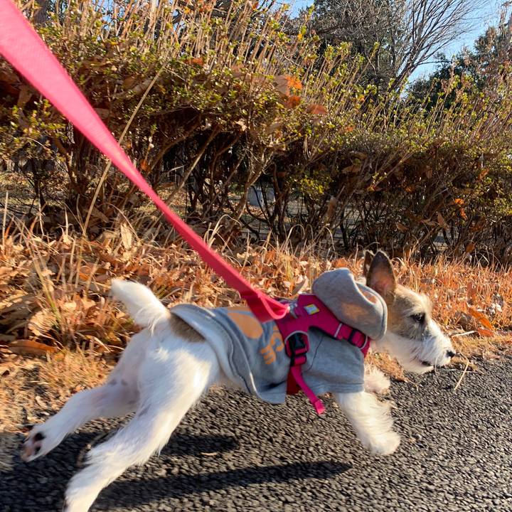 0c50d3c2 fd76 4c47 a115 29bc55d77198 1578052775917