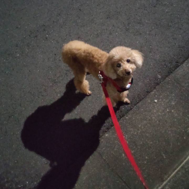 0c50dfc5 d717 490f 9be1 75cf04eb8bab 1668774568514