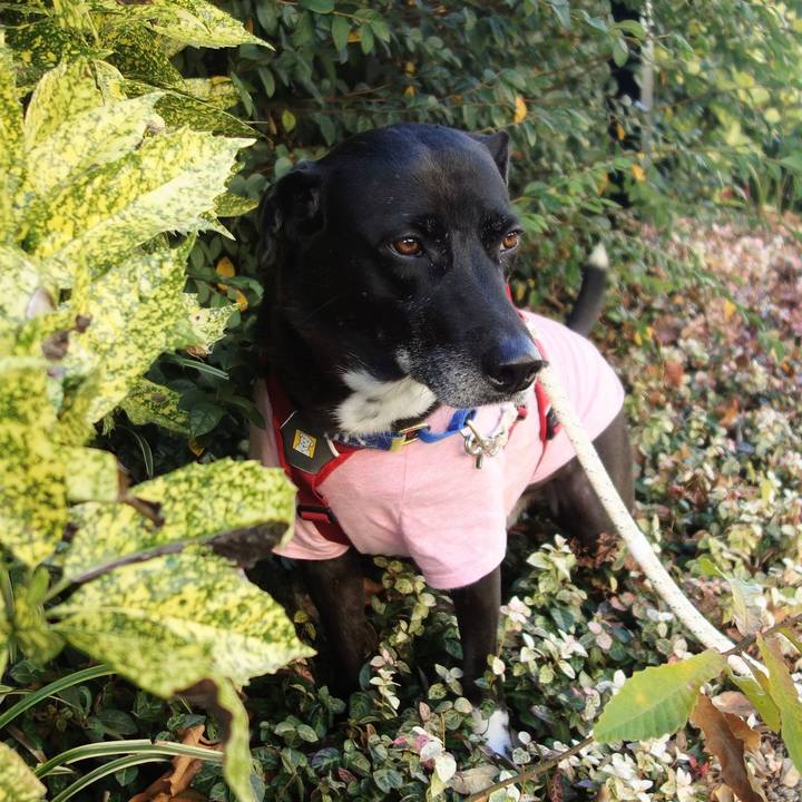 0c50edc4 12f3 422e a54a 8a5cc1ea3008 1670810932530