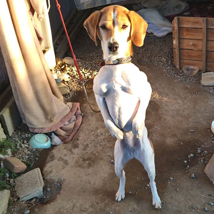 0c50f71b f657 41f4 b81d faed66d09b2e 1643031228233