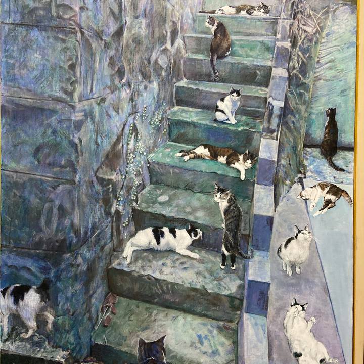 0c50ff9e 4f72 4717 906d e732e430f802 1626183194780