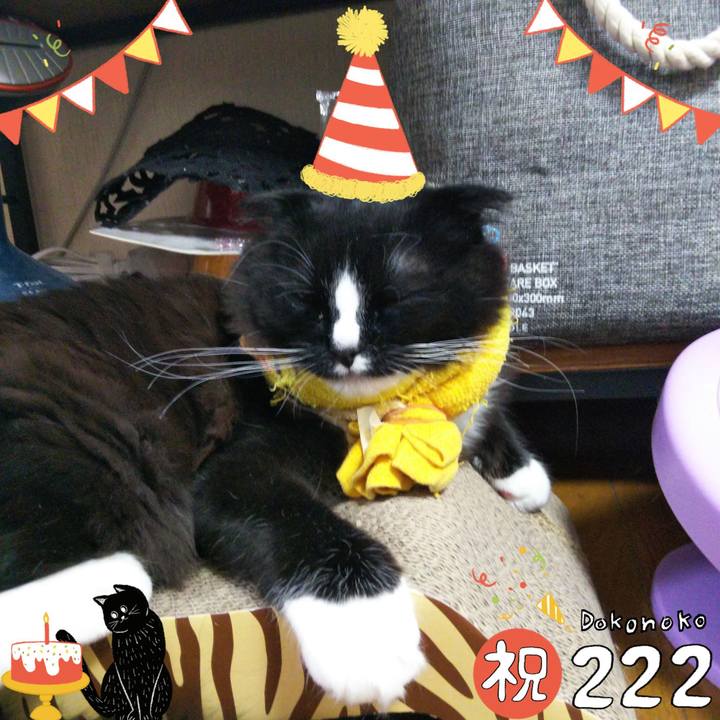 0c511deb bed2 43c3 a635 b04c9bc8c795 1645538025481