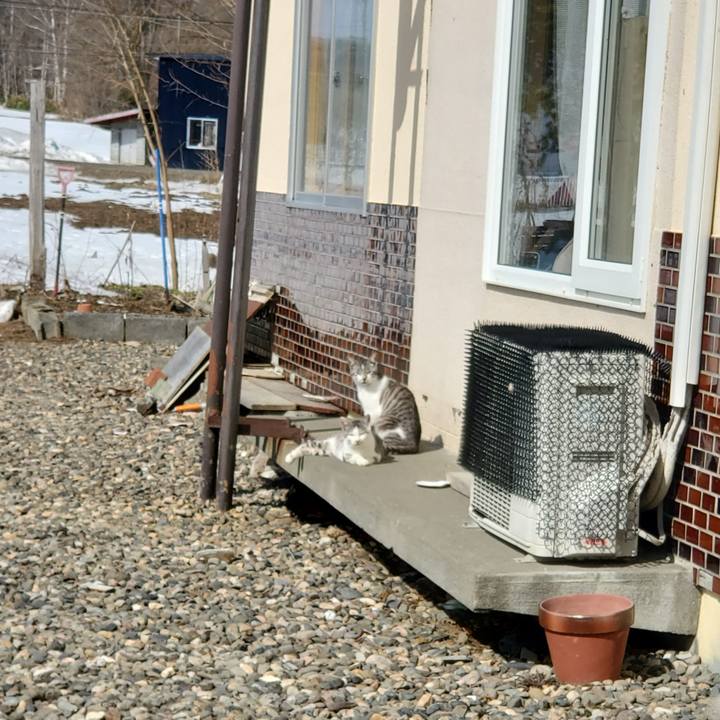 0c51273b a57a 4752 a8ea b753299cd287 1744275161094