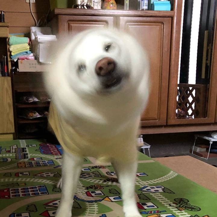 0c5129b7 49ce 4713 9882 5807ad888856 1615936092759