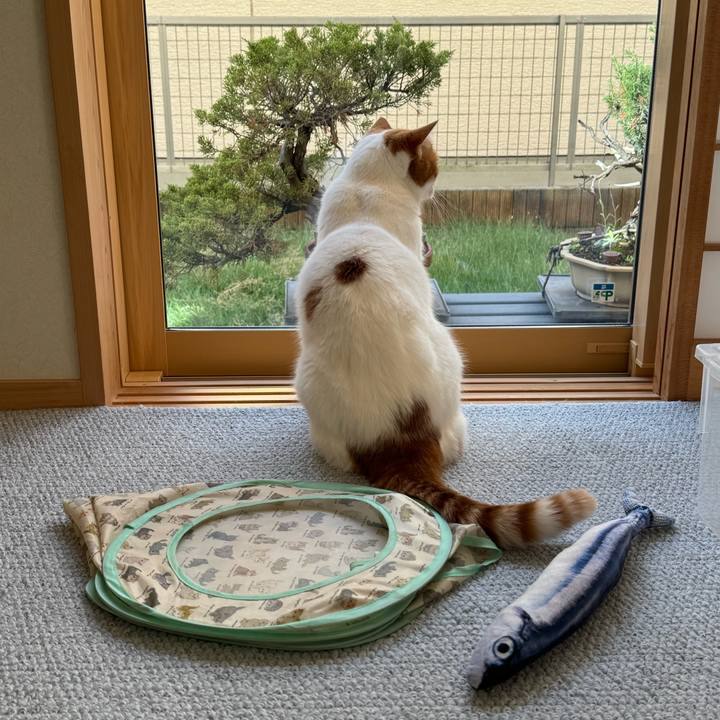 0c512e39 7f65 4ecf 9698 6ce4cd41b4fd 1761531766124