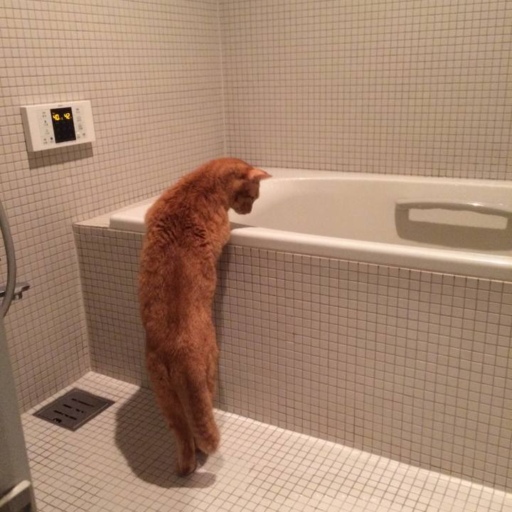 0c517ac3 c686 4d7d 91dc 0acfe447ca90 1515676145668