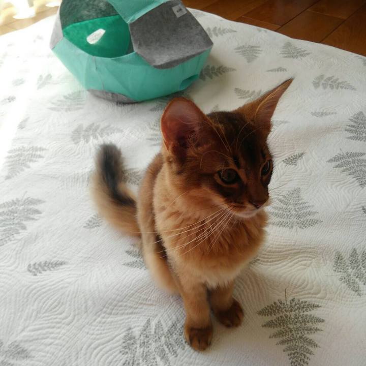 0c517e5f 066c 4e72 8def e4780a0b39f5 1573866121116