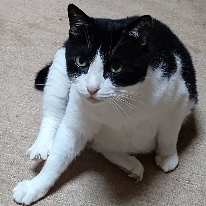 0c519571 b4be 486d a956 853df5cde48b 1630830263888