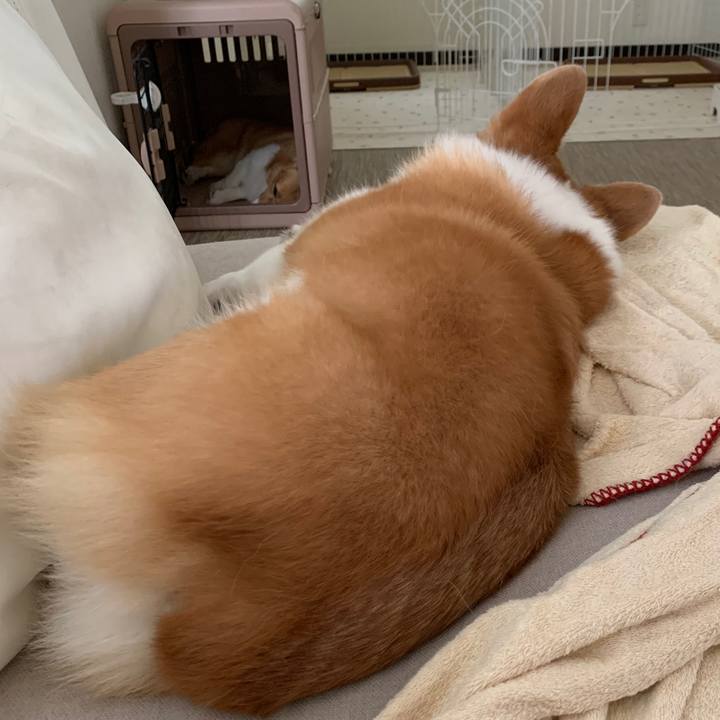 0c51ab5c bd1c 4d8c a1b5 23c1ee594ae9 1597895081829