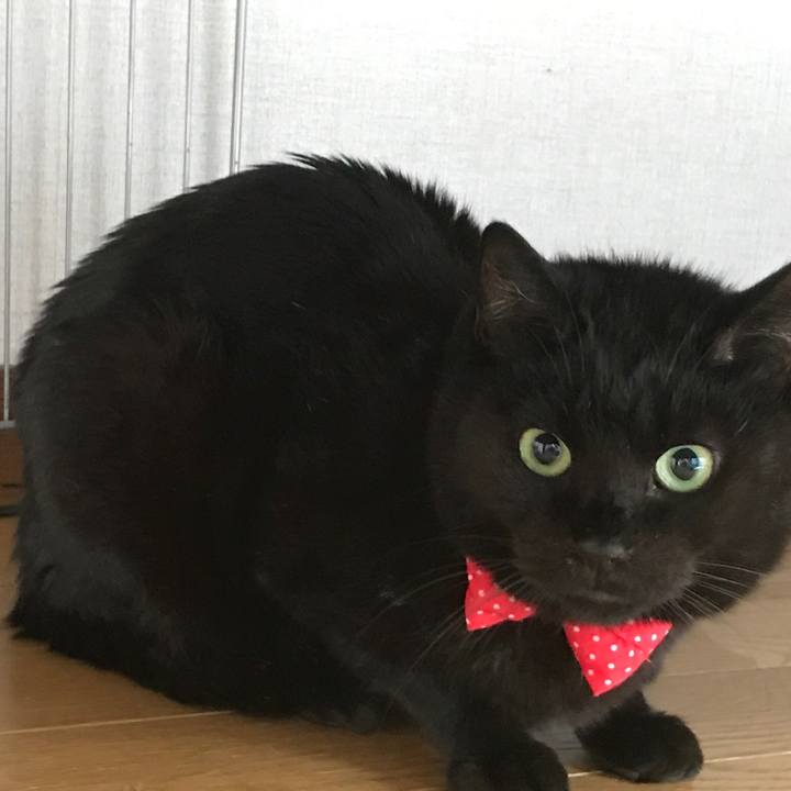 0c51f60c 315f 4363 8f39 c52b47590146 1561248472990