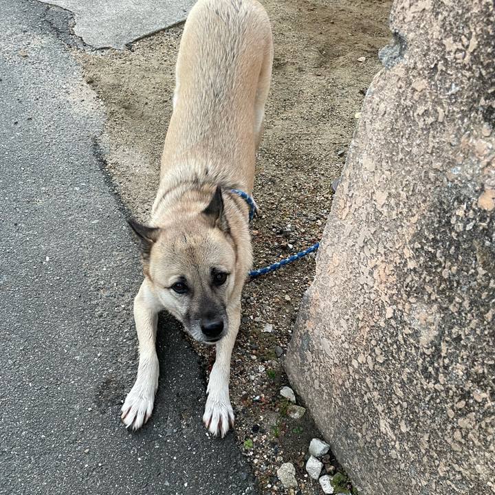 0c5209bc c627 48a5 85b7 8d833f73598b 1639483967041