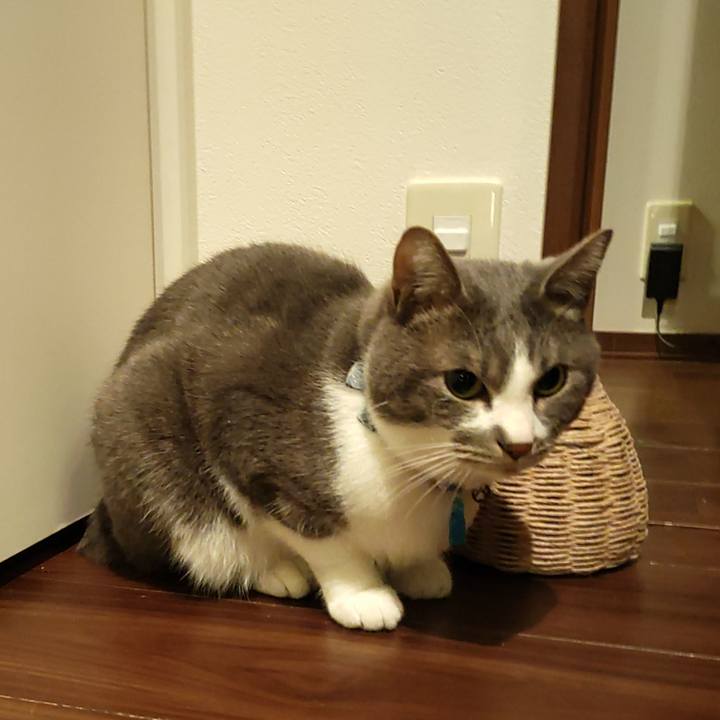 0c52bab0 ce81 4a84 a5e4 c323b674deb7 1674514664654