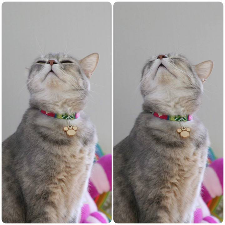 0c531c76 632b 46eb b29b 3a0f9ea70586 1554966337600