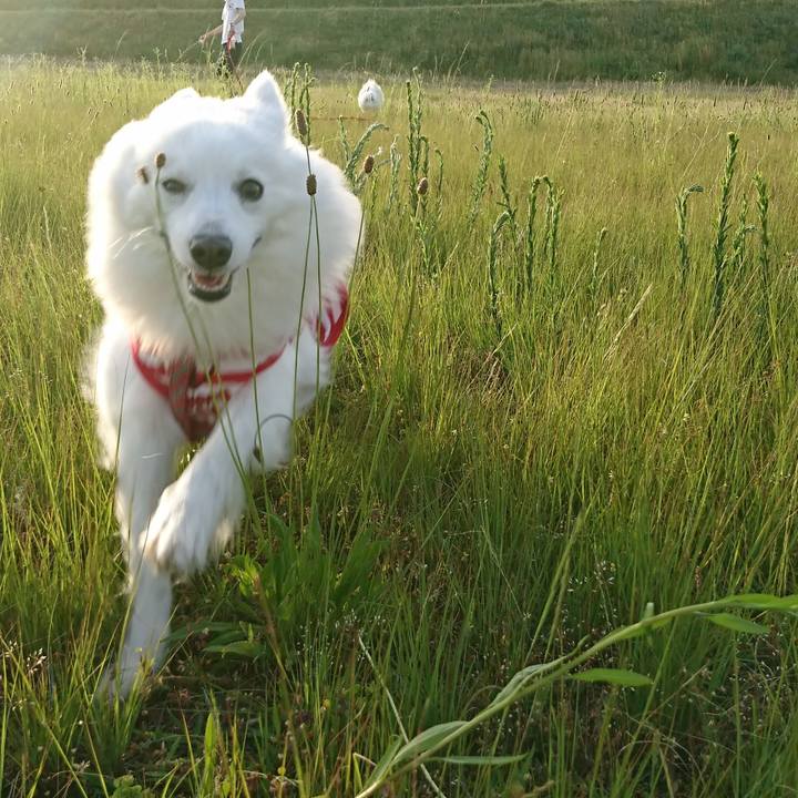 0c532048 d961 4dee 954e 3d40f2593927 1558260178994