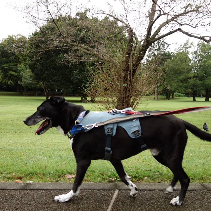 0c532225 595d 4a1e b09f 8438111ac13e 1727916677122