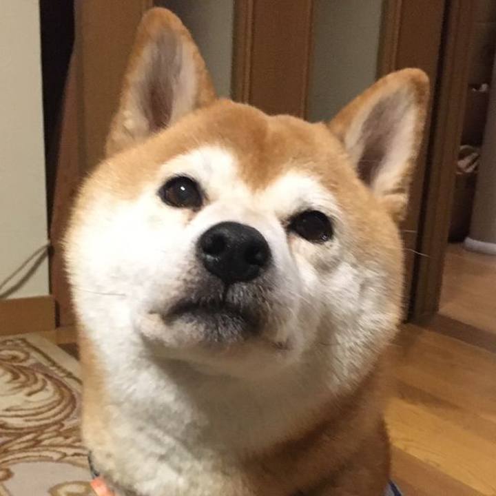 0c533c9b 424c 4823 9b97 c182dac42d34 1575619983875