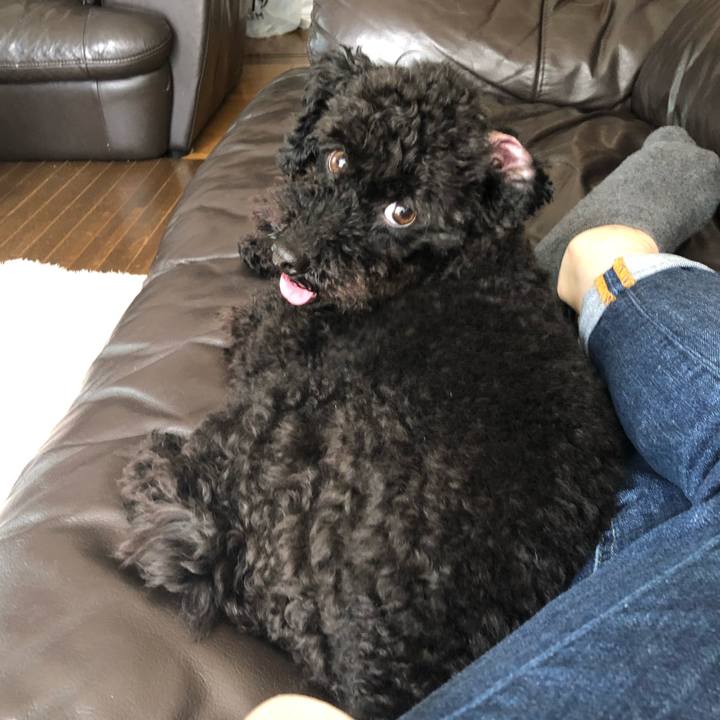 0c534698 937f 434e af9e 9f814c84ff69 1557053277589