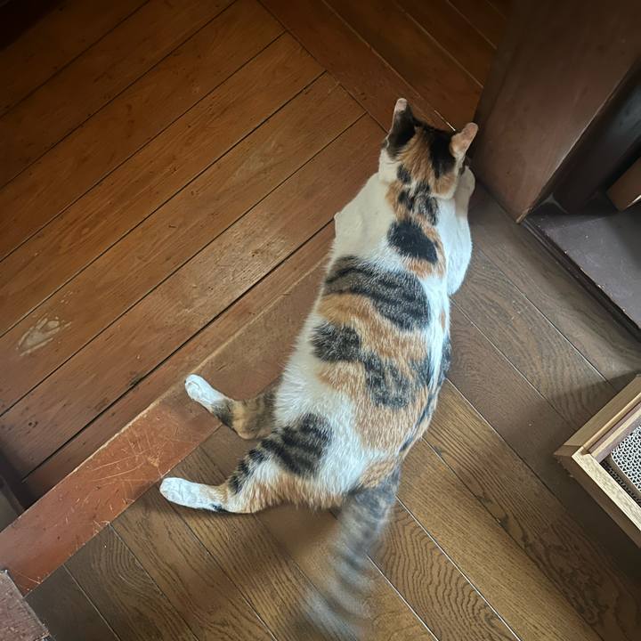 0c5349e1 3fdc 4de3 ac08 4d892ddce187 1755391983683