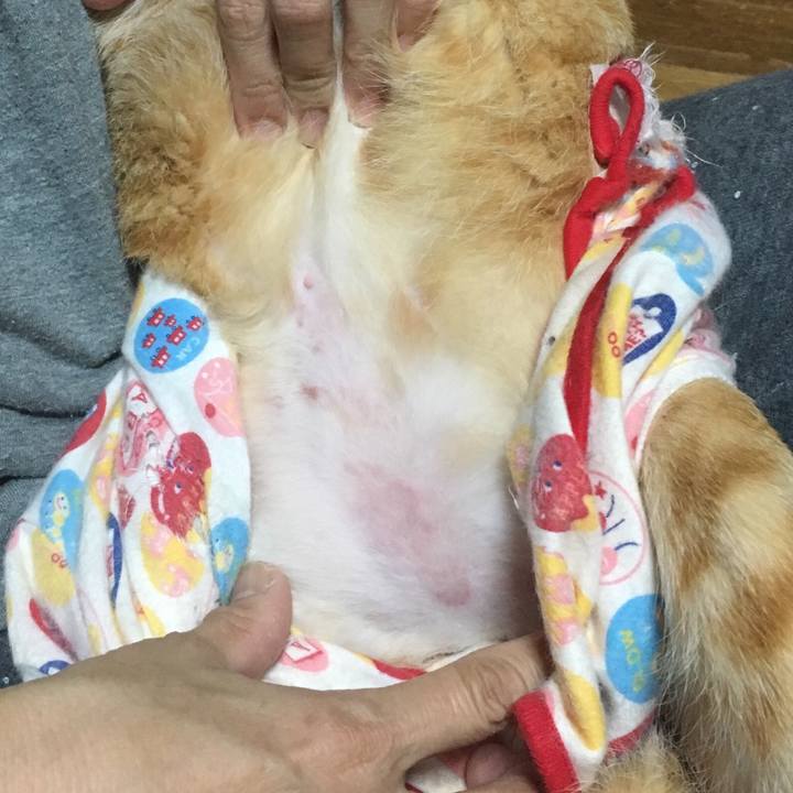 0c536683 3fd1 4e6b b6b3 5d1df7ff4bff 1509543120949