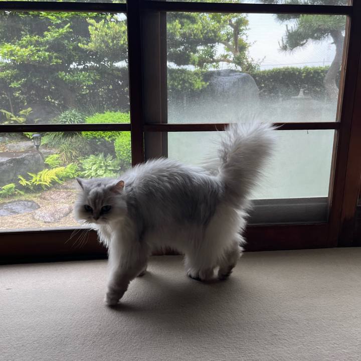 0c53b004 12d0 4f6b 9b68 116fe581d063 1653096012405