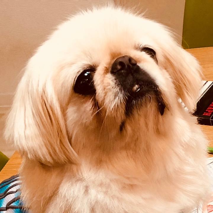 0c53b3b8 432a 4348 8e1f 1f85964857b7 1560351100549