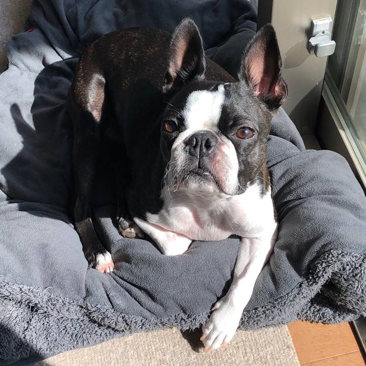 0c53be4f 2188 4718 a7a0 b9698f44a09e 1634295959239