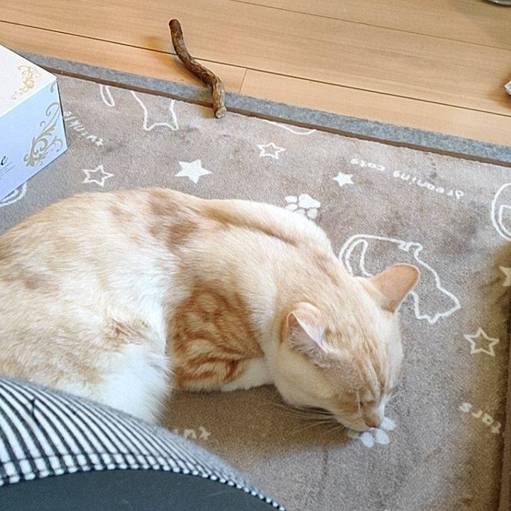 0c53d937 fa13 4d02 a230 8169e3f66106 1679208537978