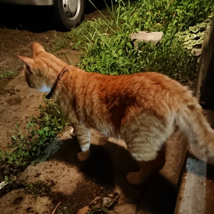 0c53e434 32ad 49e0 8dee 11c5d1549647 1566302075903