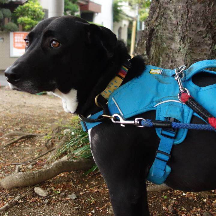 0c543fd3 5058 4827 8a01 a5feb1f2993b 1618619298290