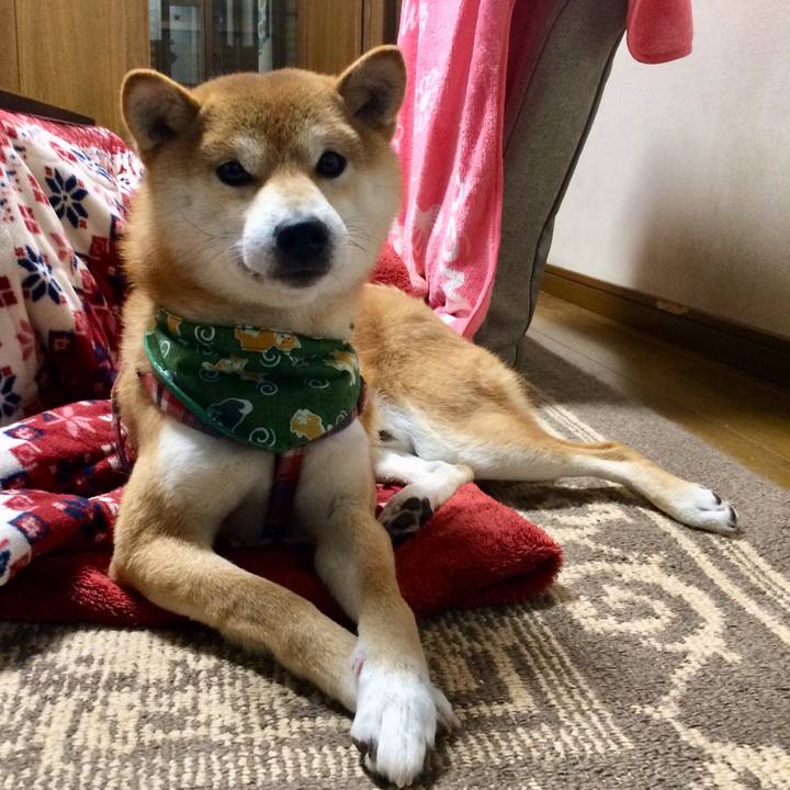 0c546e4d 8484 469c a6a4 0351bfd25c28 1514896260709