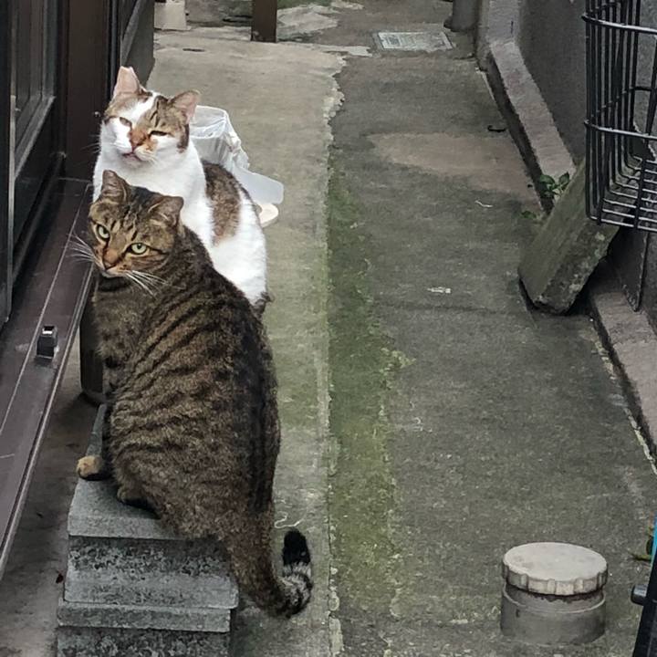 0c54cc25 5f3a 46b7 ab8b f2d646176aec 1538570663197