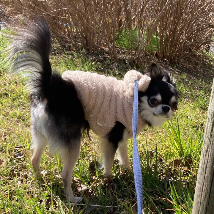 0c54cfa3 774a 4d7c b551 1011278390cd 1677943535572