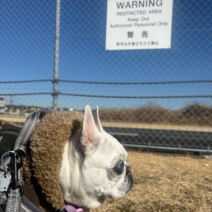 0c54d0af f172 4ba0 96d7 9d3b33164580 1769925693930