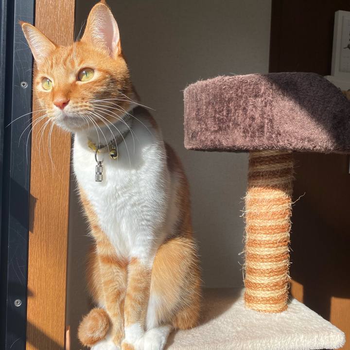 0c550676 dee3 4ab7 91e9 aa836bc42319 1580969502059