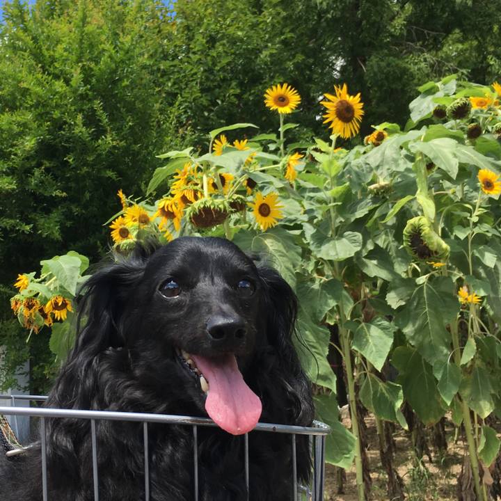 0c554f62 9228 4917 864c b155f1a6c75b 1565480317326