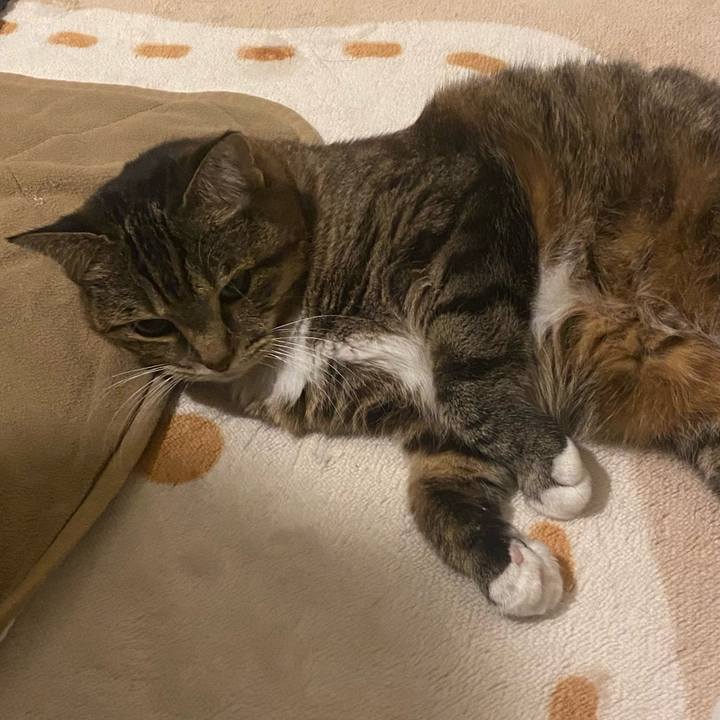 0c55a0cf 84e8 4782 b617 874995f065d5 1732278110017