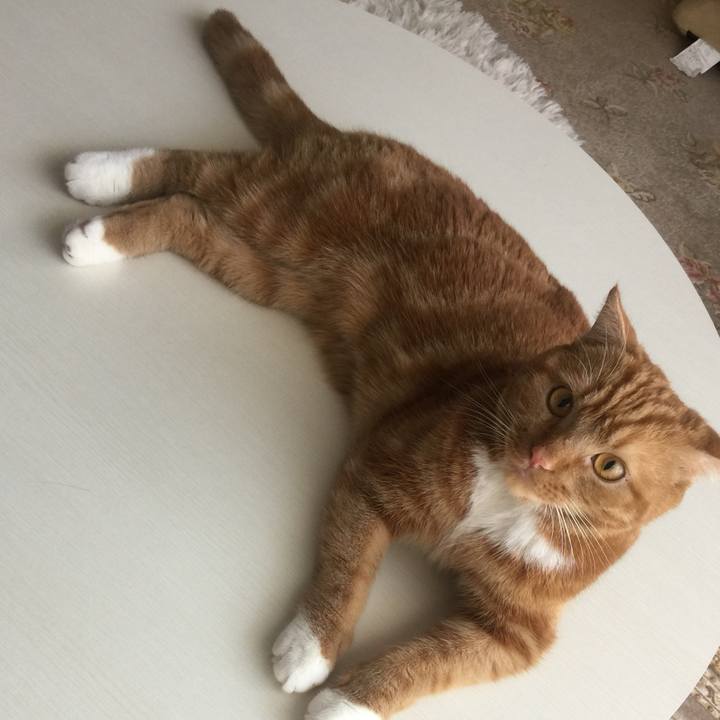 0c55ac2f e171 4458 bb79 e876b8b7b7b6 1533599317966